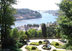 Cruise the Douro Valley from Porto